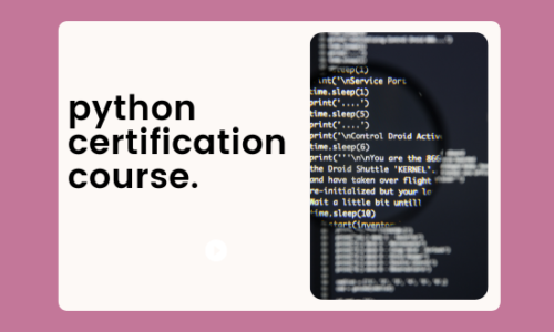python certification training course