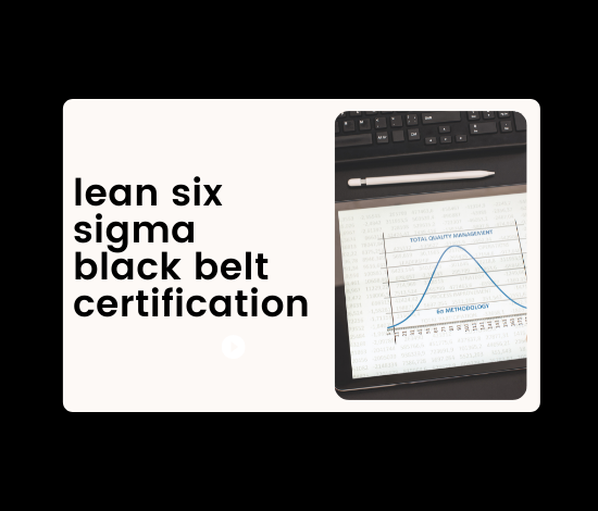 lean six sigma black belt